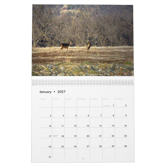 Wild Thing 2014 Calendar (Jan 2027)