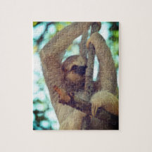 Wild Three Toed Sloth Puzzle