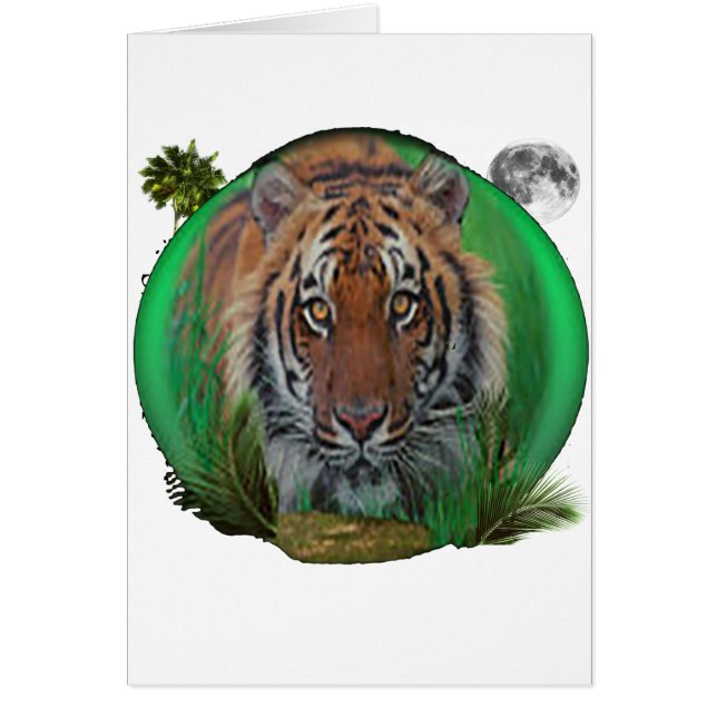 wild tiger (Front)