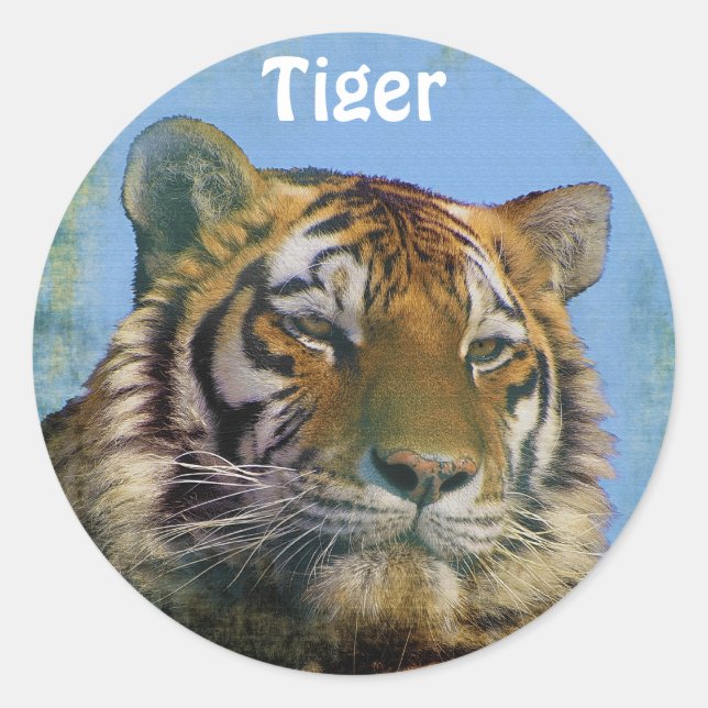 Wild Tiger Big Cat Wildlife Stickers (Front)