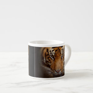 Wild Tiger Face Espresso Coffee Mug