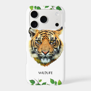 Wild Tiger Face on White