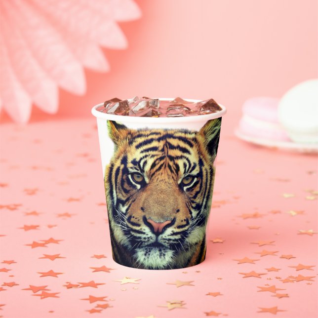 Wild Tiger Face Paper Cups (Insitu)