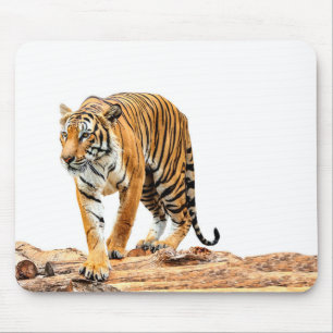 Wild Tiger on a Log Mouse Mat