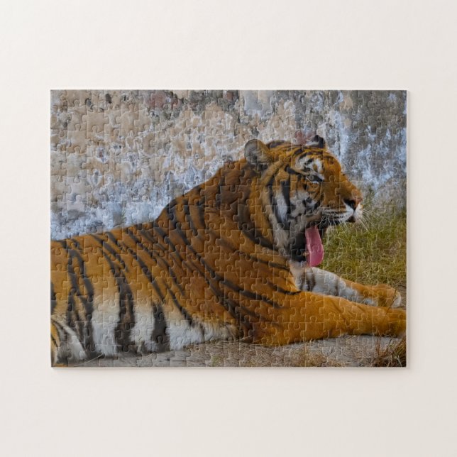 Wild Tigers Pakistan. Jigsaw Puzzle (Horizontal)
