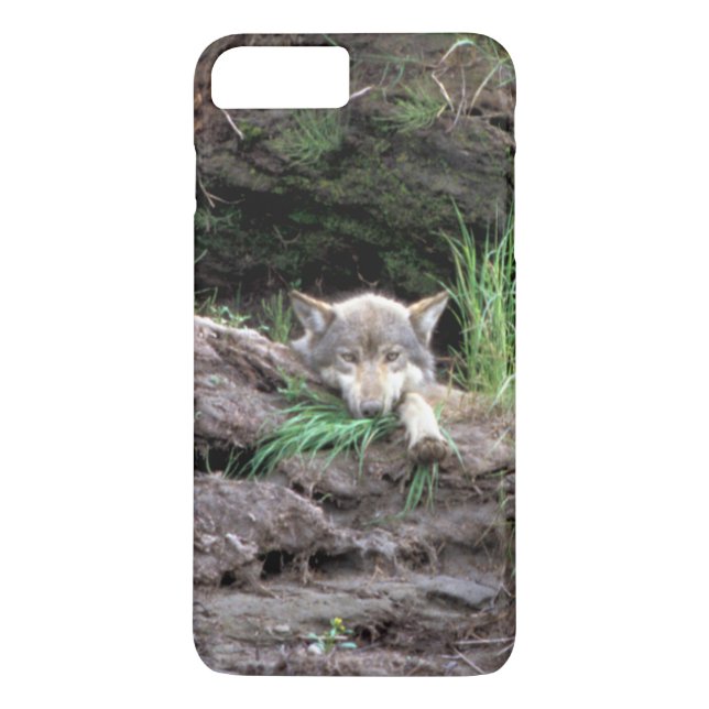 Wild Timber Wolf Cub in Den Case-Mate iPhone Case (Back)
