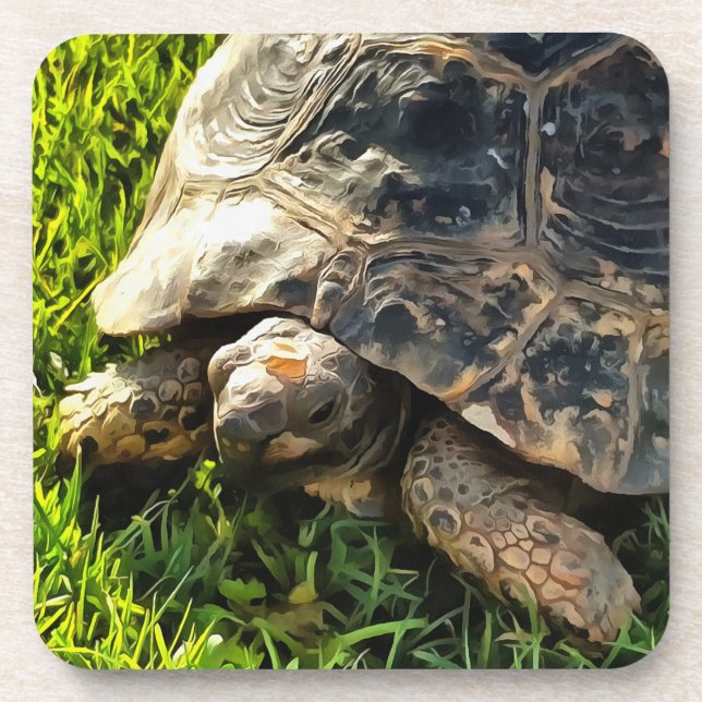 Wild Tortoise In Grass Meadow Coaster (Front)