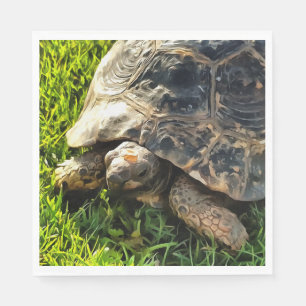 Wild Tortoise In Grass Meadow Wildlife Art Napkin