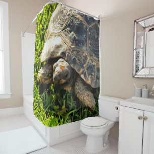 Wild Tortoise In Grass Meadow Wildlife Art Shower Curtain