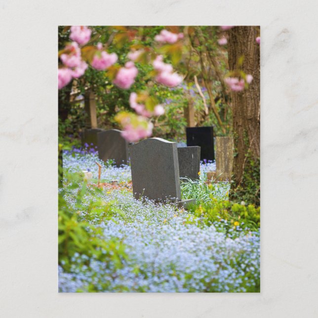 Wild tranquillity, beautiful churchyard. Hopwas UK Postcard (Front)