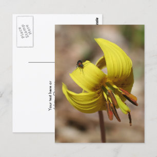Wild Trout Lily Flower And Friend Personalised Postcard