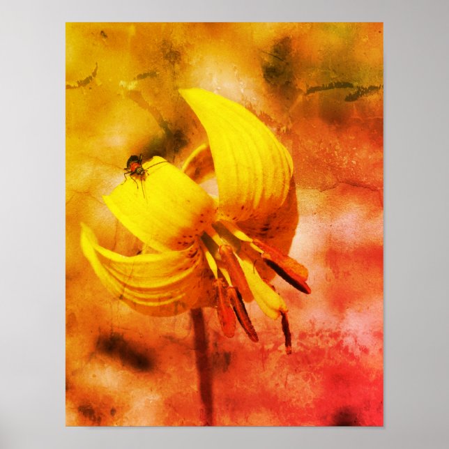Wild Trout Lily Flower And Insect Friend Abstract Poster (Front)