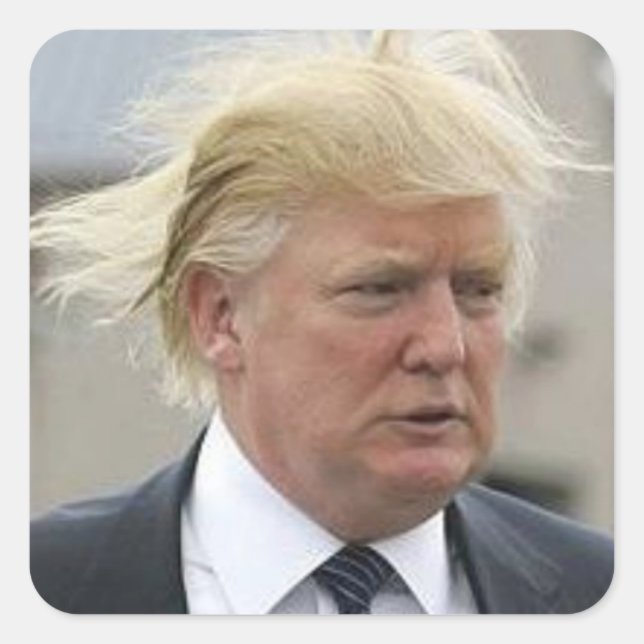 Wild Trump Hair Square Sticker (Front)