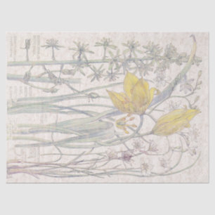 Wild Tulip Wildflower Flowers Tissue Paper