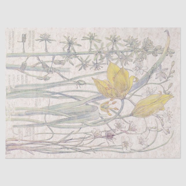 Wild Tulip Wildflower Flowers Tissue Paper (Front)