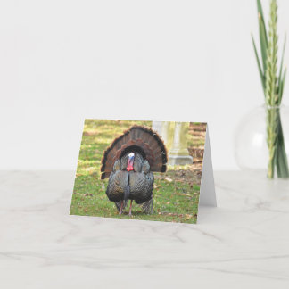 Wild Turkey #1 - Blank Note Card