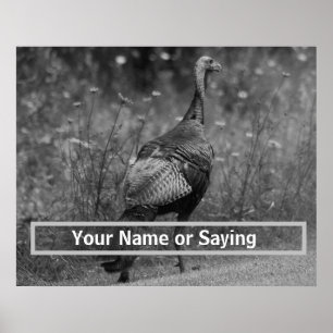 Wild Turkey B&W photo Poster
