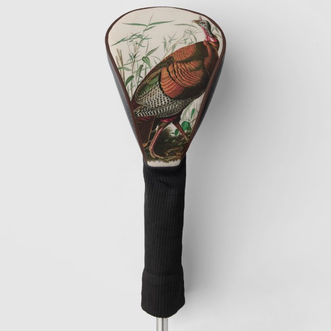 Wild Turkey Birds of America Audubon Print Golf Head Cover (Front)