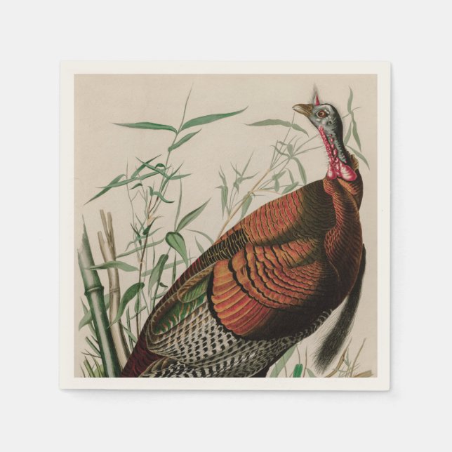 Wild Turkey Birds of America Audubon Print Napkin (Front)