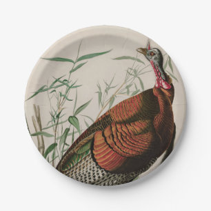 Wild Turkey Birds of America Audubon Print Paper Plate