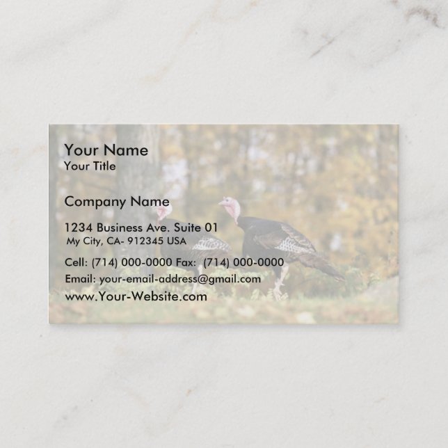 Wild turkey business card (Front)