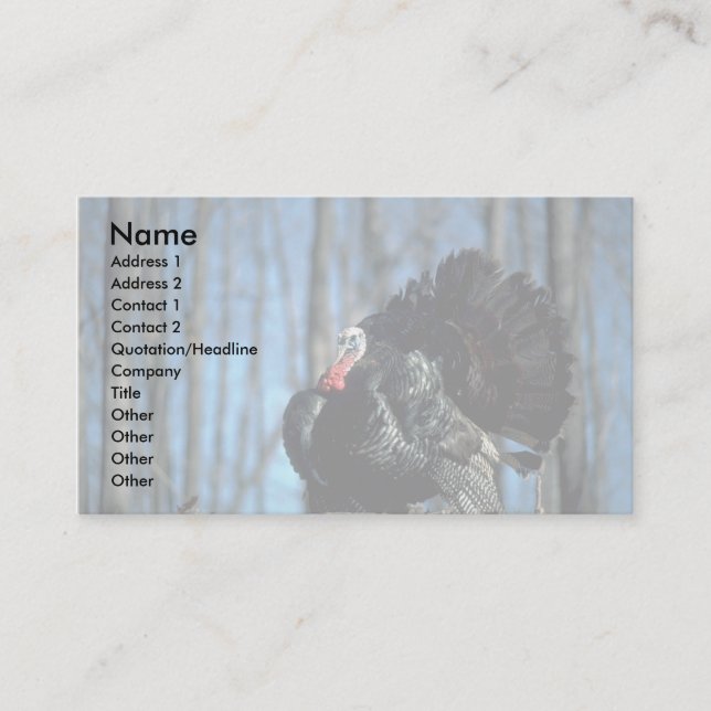 Wild turkey business card (Front)