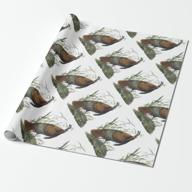 Wild Turkey by Audubon Wrapping Paper (Unrolled)