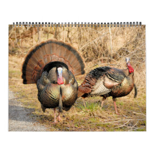 Wild Turkey Calendar