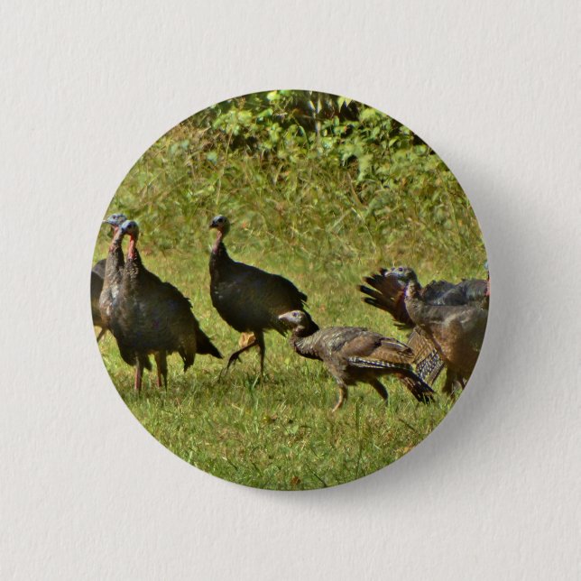 Wild Turkey, Camouflage colours 6 Cm Round Badge (Front)