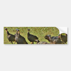 Wild Turkey, Camouflage colours Bumper Sticker