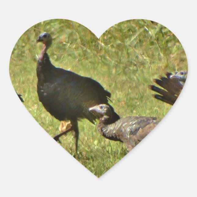Wild Turkey, Camouflage colours Heart Sticker (Front)