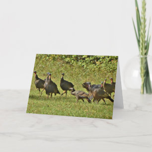 Wild Turkey, Camouflage colours Holiday Card