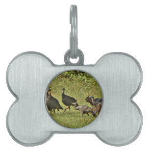 Wild Turkey, Camouflage colours Pet ID Tag