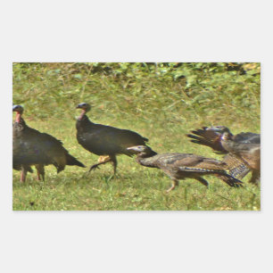 Wild Turkey, Camouflage colours Rectangular Sticker