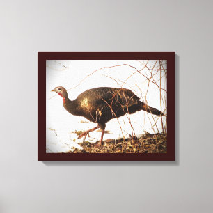 Wild Turkey Canvas Print