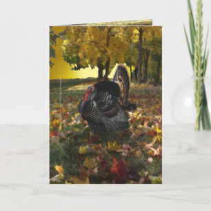 Wild Turkey Card