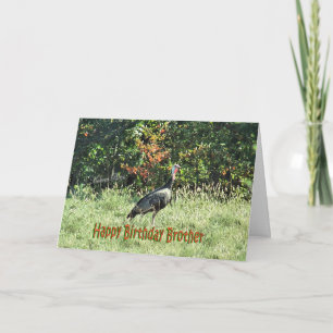 Wild Turkey Card