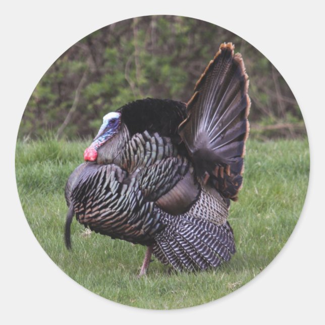 Wild Turkey Classic Round Sticker (Front)