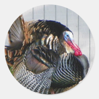 wild turkey classic round sticker