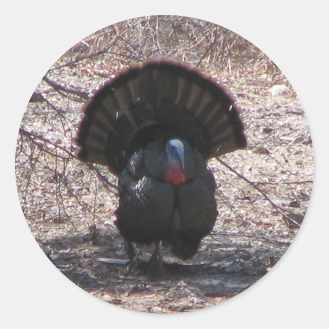 Wild Turkey Classic Round Sticker (Front)