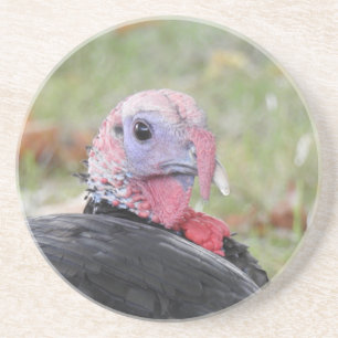 Wild Turkey Coaster