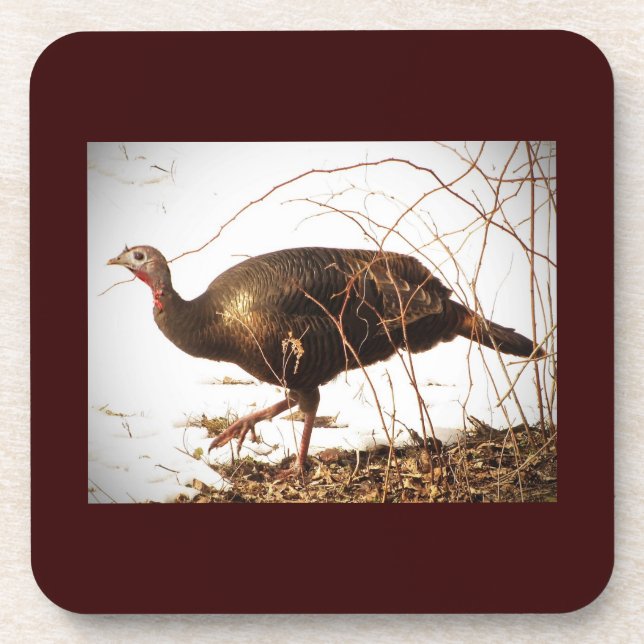 Wild Turkey Coaster (Front)