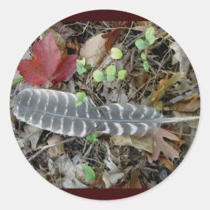 Wild Turkey Feather Stickers
