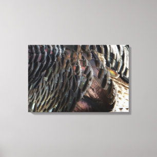Wild Turkey Feathers I Abstract Nature Design Canvas Print