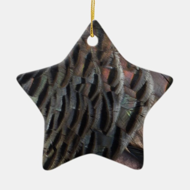 Wild Turkey Feathers I Abstract Nature Design Ceramic Tree Decoration (Front)