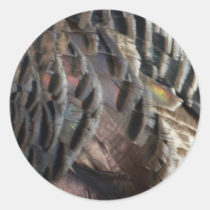 Wild Turkey Feathers I Abstract Nature Design Classic Round Sticker