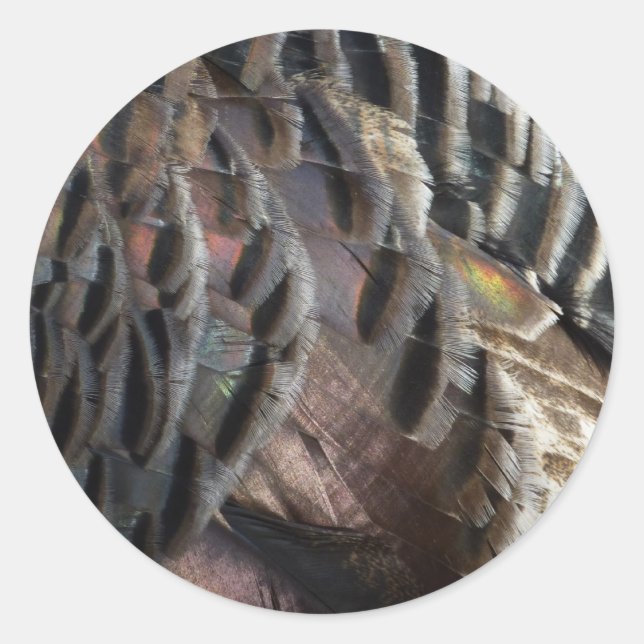 Wild Turkey Feathers I Abstract Nature Design Classic Round Sticker (Front)