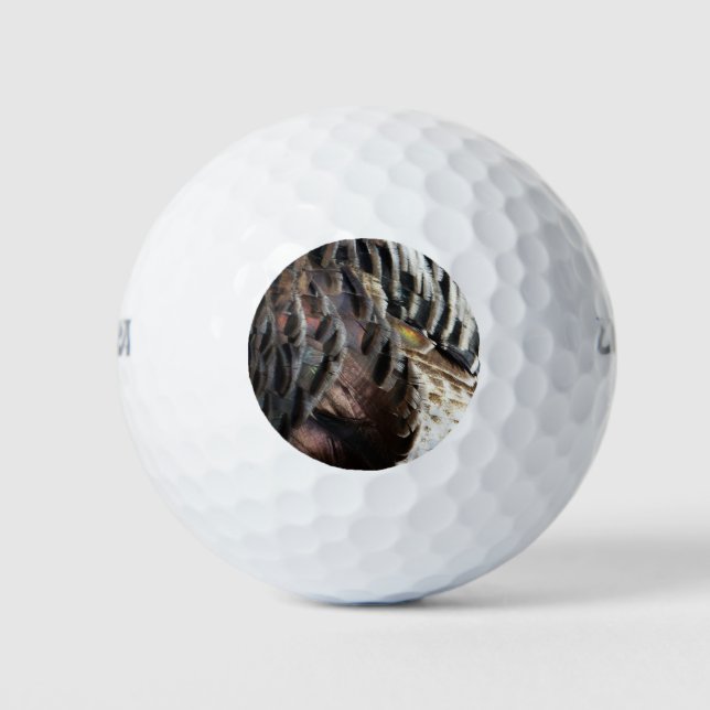 Wild Turkey Feathers I Abstract Nature Design Golf Balls (Front)