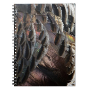 Wild Turkey Feathers I Abstract Nature Design Notebook