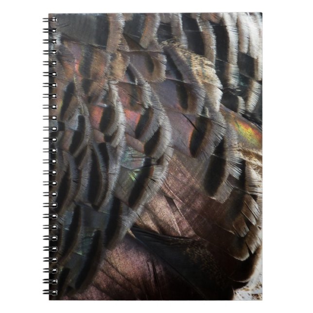 Wild Turkey Feathers I Abstract Nature Design Notebook (Front)